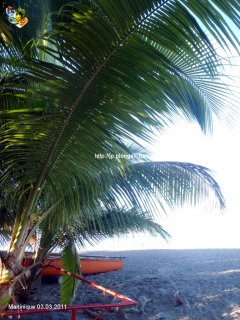 Martinique