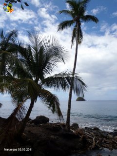 Martinique