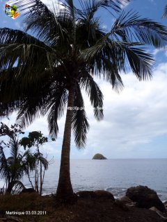 Martinique