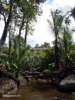 Martinique