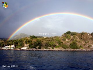 web-20110302-p3020163