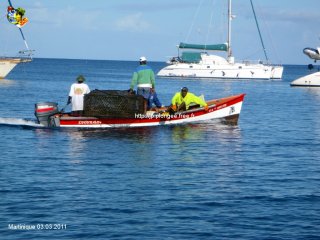 Martinique