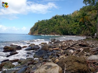 Martinique
