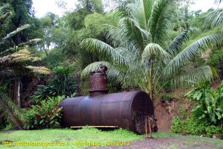 Martinique dimanche 21 avril 2013 22:05:54 