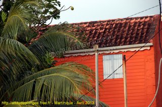 Martinique dimanche 21 avril 2013 22:42:03 