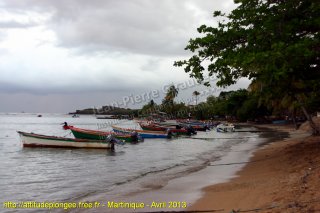 web-martinique-2013-ext-25230252