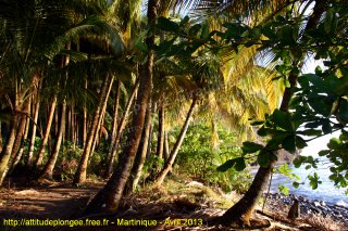 Martinique vendredi 26 avril 2013 22:51:41 