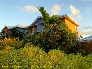 web-martinique-2013-ext-22230652