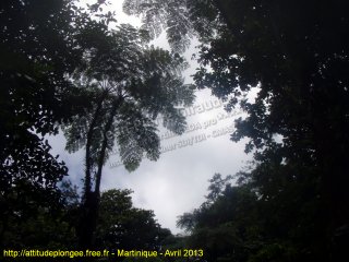 Martinique lundi 22 avril 2013 17:09:32 