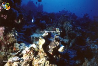 Mer-rouge