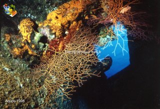Mer-rouge