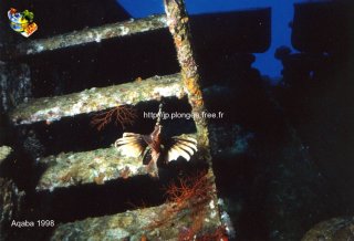 Mer-rouge