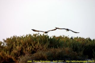 Mer Rouge Août 2017 mercredi 16 août 2017 16:06:32 