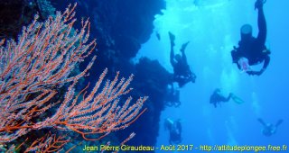 Mer Rouge Août 2017 jeudi 17 août 2017 19:20:12 