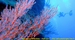 Mer Rouge Août 2017 jeudi 17 août 2017 19:20:41 