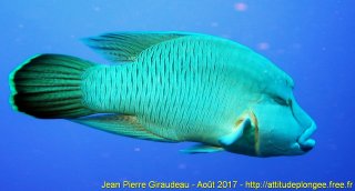 Mer Rouge Août 2017 vendredi 18 août 2017 04:02:41 