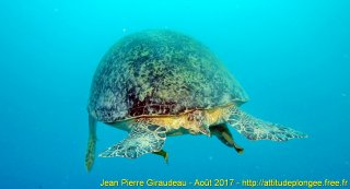 Mer Rouge Août 2017 samedi 19 août 2017 05:24:44 