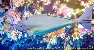 Mer Rouge Août 2017 samedi 19 août 2017 19:38:08 