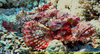 Mer Rouge Août 2017 vendredi 18 août 2017 03:54:45 