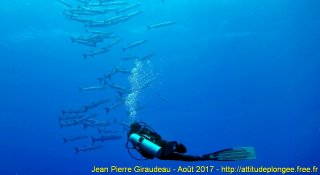 Mer Rouge Août 2017 jeudi 17 août 2017 23:24:38 