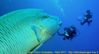 Mer Rouge Août 2017 vendredi 18 août 2017 04:04:48 