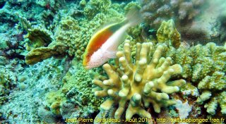 Mer Rouge Août 2017 vendredi 18 août 2017 19:28:04 