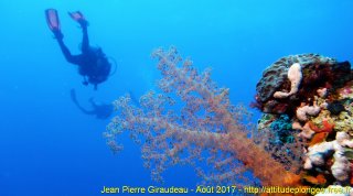 Mer Rouge Août 2017 lundi 14 août 2017 19:36:52 