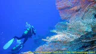 Mer Rouge Août 2017 dimanche 13 août 2017 23:38:01 