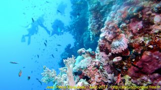Mer Rouge Août 2017 vendredi 18 août 2017 19:21:29 