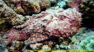Mer Rouge Août 2017 dimanche 13 août 2017 20:11:35 