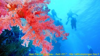 Mer Rouge Août 2017 dimanche 13 août 2017 23:49:50 