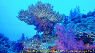 Mer Rouge Août 2017 lundi 14 août 2017 19:35:24 