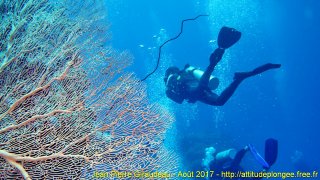 Mer Rouge Août 2017 lundi 14 août 2017 23:34:32 