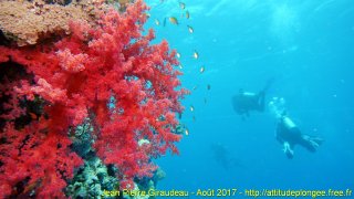 Mer Rouge Août 2017 lundi 14 août 2017 23:56:12 