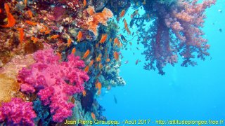 Mer Rouge Août 2017 lundi 14 août 2017 23:56:30 