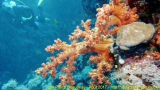 Mer Rouge Août 2017 lundi 14 août 2017 23:56:40 