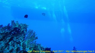 Mer Rouge Août 2017 mardi 15 août 2017 19:17:54 