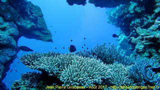 Mer Rouge Août 2017 mardi 15 août 2017 19:23:50 