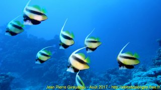 Mer Rouge Août 2017 mardi 15 août 2017 19:38:47 