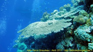 Mer Rouge Août 2017 mardi 15 août 2017 19:51:25 