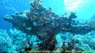 Mer Rouge Août 2017 mercredi 16 août 2017 00:07:52 