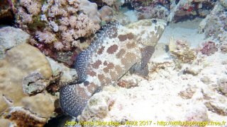 Mer Rouge Août 2017 mercredi 16 août 2017 07:09:07 