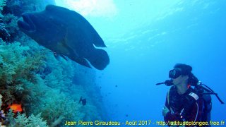 Mer Rouge Août 2017 jeudi 17 août 2017 04:44:16 