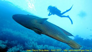 Mer Rouge Août 2017 jeudi 17 août 2017 05:12:14 