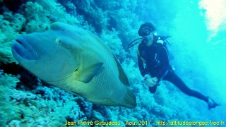 Mer Rouge Août 2017 jeudi 17 août 2017 05:13:29 
