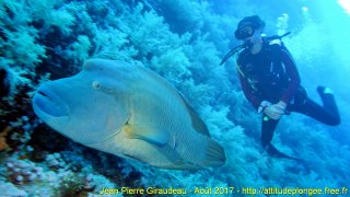 Mer Rouge Août 2017 jeudi 17 août 2017 05:13:34 