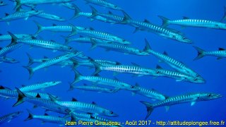 Mer Rouge Août 2017 jeudi 17 août 2017 19:08:45 