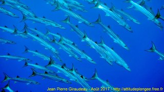Mer Rouge Août 2017 jeudi 17 août 2017 19:08:52 