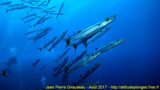 Mer Rouge Août 2017 jeudi 17 août 2017 23:19:30 