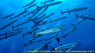 Mer Rouge Août 2017 jeudi 17 août 2017 23:19:55 